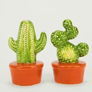 UO cactus saltnpepper shakers